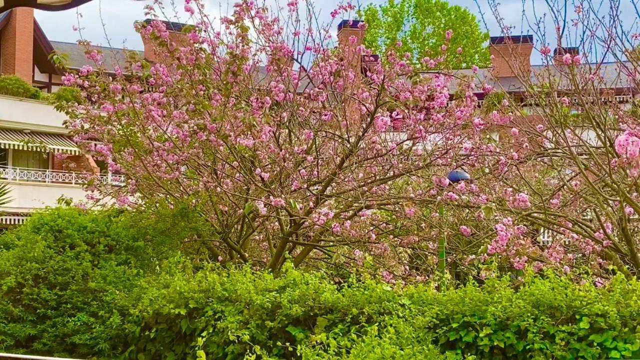 Apartamento con Jardín Getxo Exterior foto